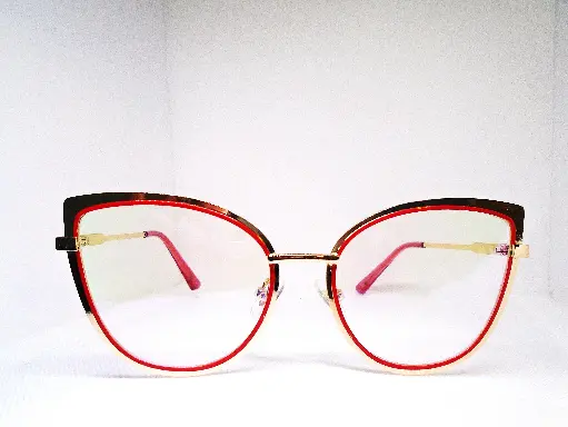 EZ VISION Bifocal/Progresivo (62-12-135)